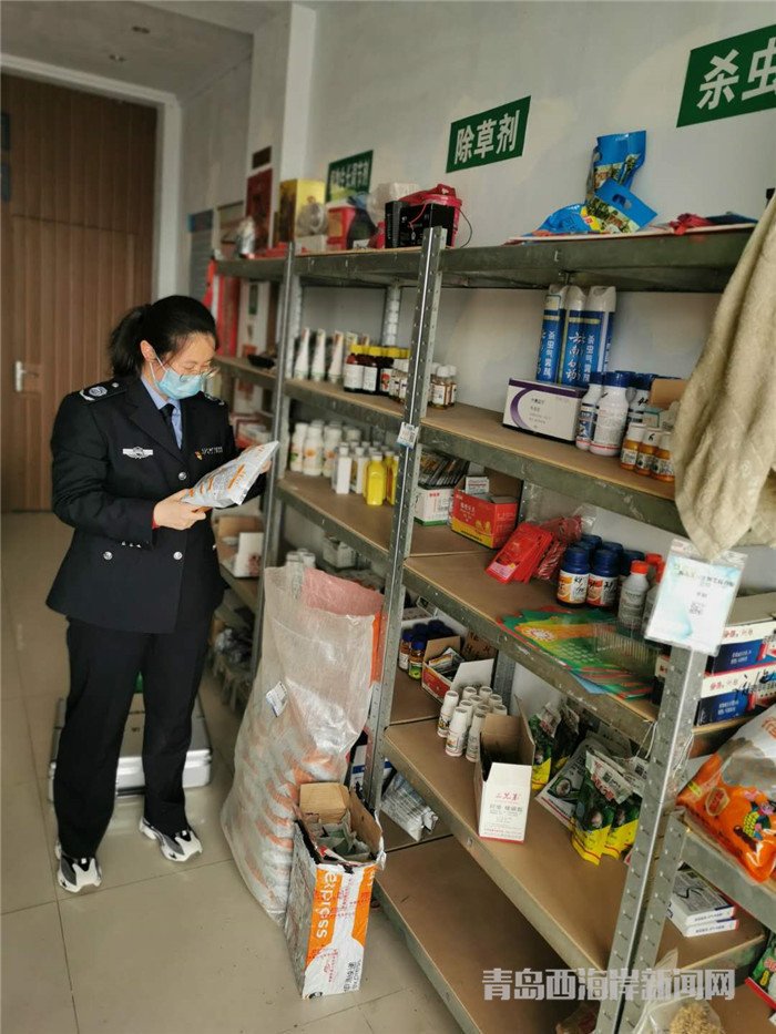 圖為西海岸新區(qū)農(nóng)業(yè)綜合行政執(zhí)法大隊(duì)執(zhí)法隊(duì)員在查看玉米種子包裝。.jpg