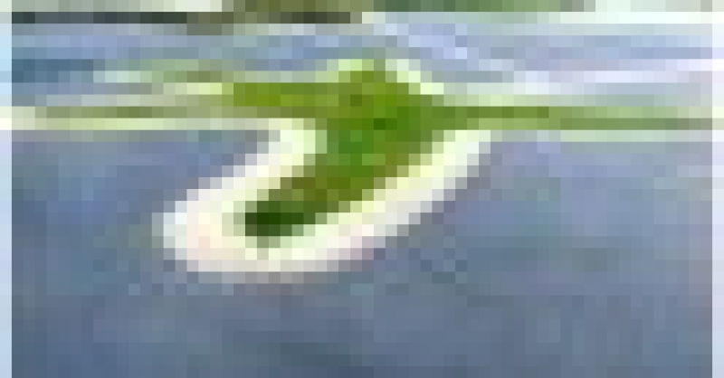 城市陽臺(tái)榮膺“青島市園林綠化精品工程”稱號(hào)